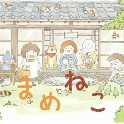 豆猫