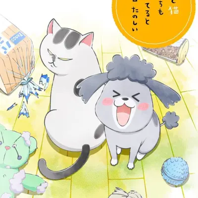 养猫养狗每天很开心
