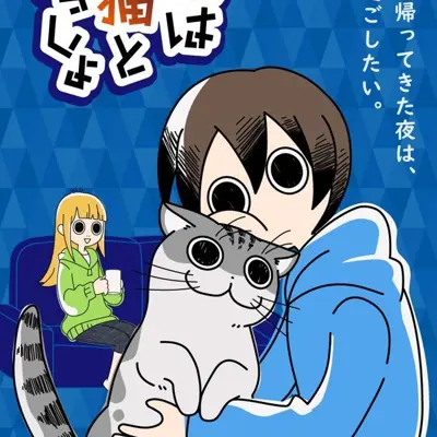 关于养猫我一直是新手