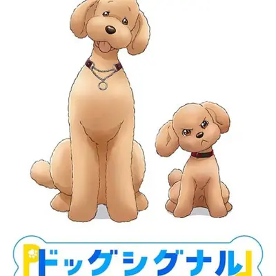 爱犬讯号